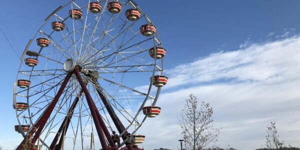 Play Action Plaza Ferris Wheel