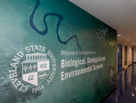 SI/SR Engaged Learning Labs